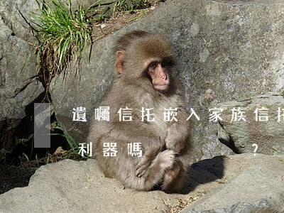 遺囑信托嵌入家族信托，是家族差異化傳承的利器嗎？